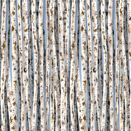 BIRCH TREES cotton fabric by the half yard TIMELESS TREASURES!
