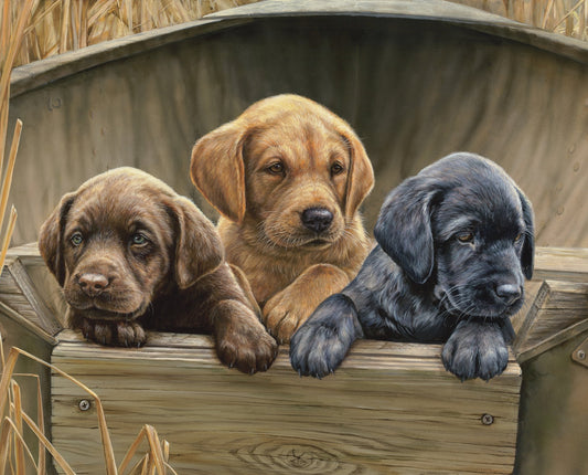 LABS IN THE WHEAT FIELD LABRADOR PUPPIES DOG BREED 36" x 44" cotton fabric panel DAVID TEXTILES!