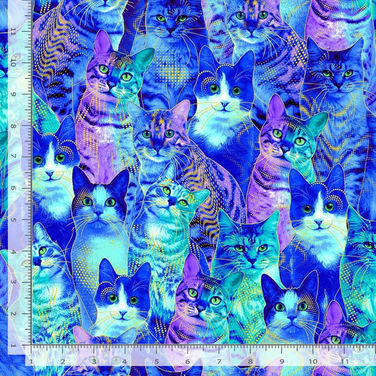 BLUE CATS cotton fabric by the half yard TIMELESS TREASURES!